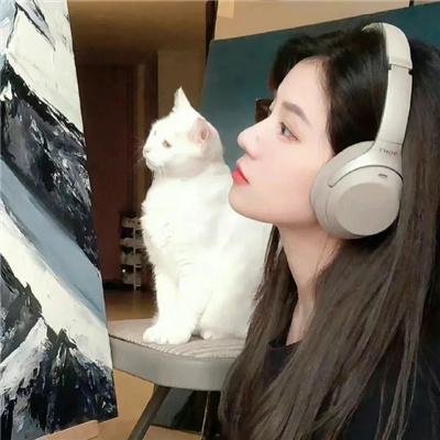 王牌保镖之疾速追击